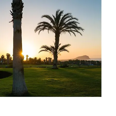 Birdie 圣米格尔德阿沃纳