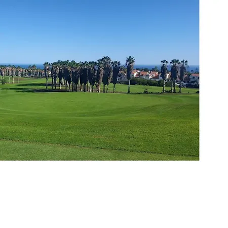 Birdie * 圣米格尔德阿沃纳