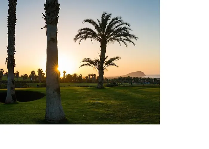 Birdie 圣米格尔德阿沃纳